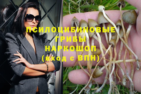 марки nbome Баксан